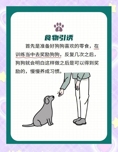 狗狗怎么训练坐下起立