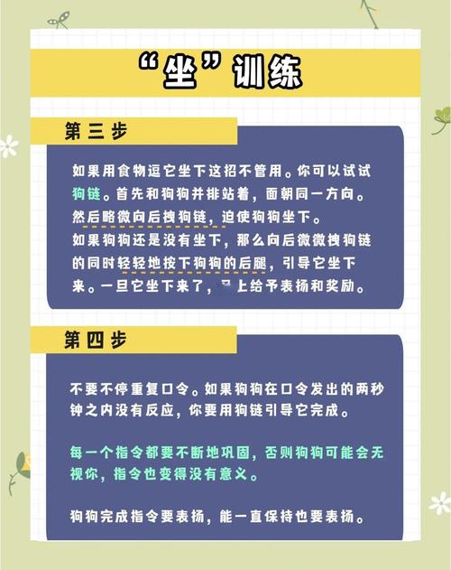 如何训练好狗狗坐下,狗狗挑食该怎么办