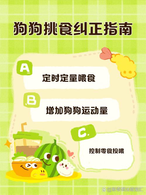 如何训练狗狗坐下来