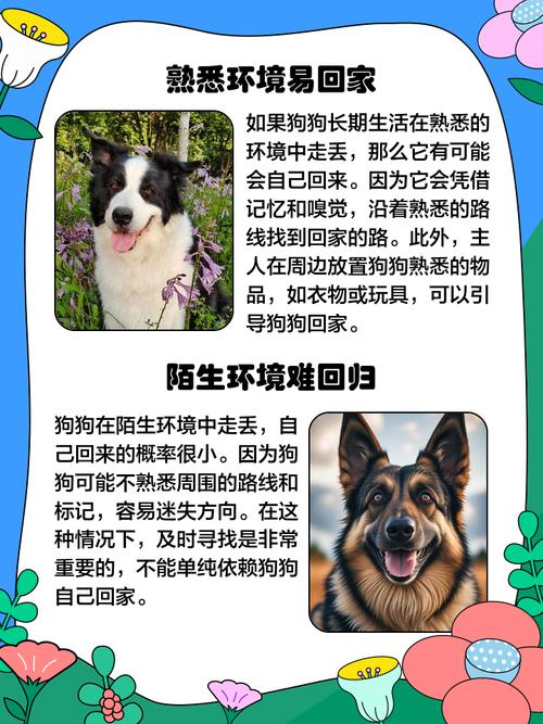 狗狗走丢了,会自己回来吗??