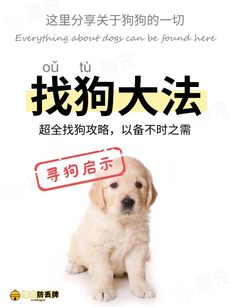 狗狗走失三天自己回来,全家欢呼,狗在走丢后真的会自己回家吗?