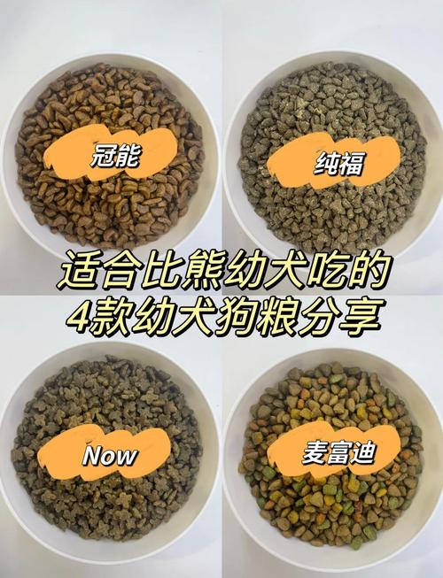 小狗什么时候能吃干粮