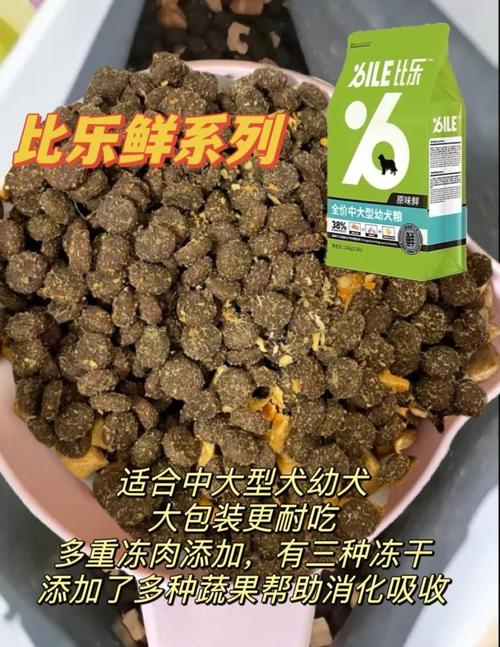 马尔泰多大吃干粮