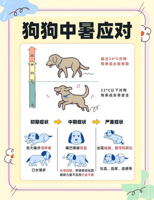 夏天怎么给狗子降温