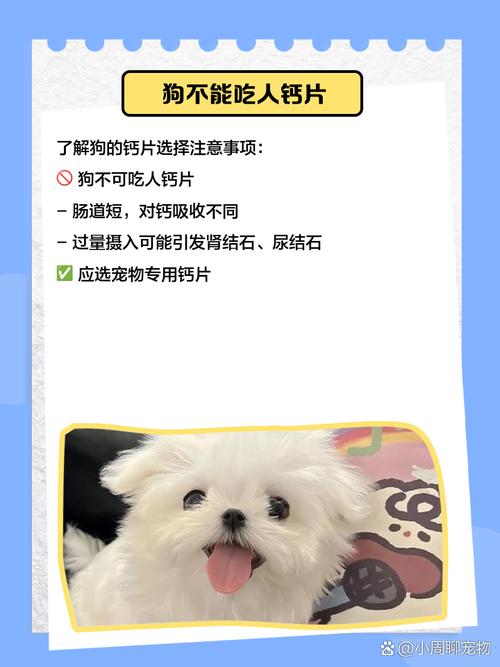 狗狗可以吃人的钙片吗