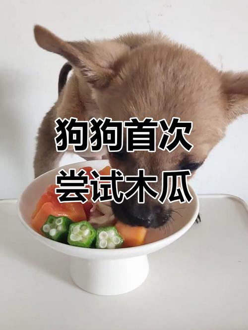 狗狗能吃木瓜吗?