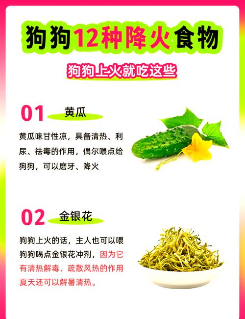 狗狗吃什么清火
