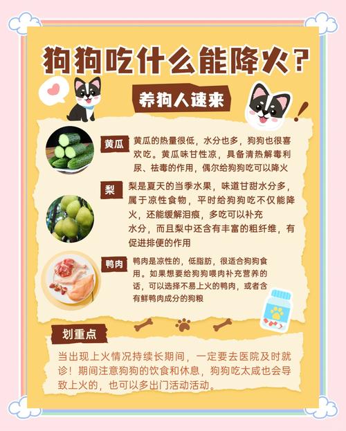 狗狗上火怎么办最有效