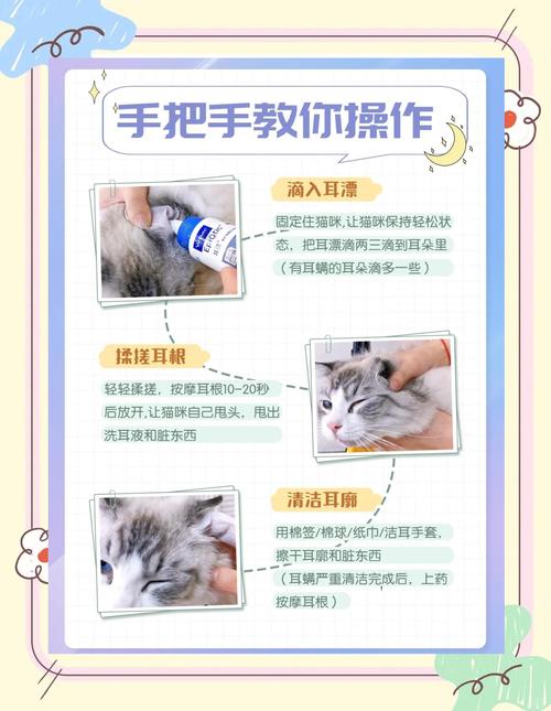 猫咪去耳螨用什么药比较好