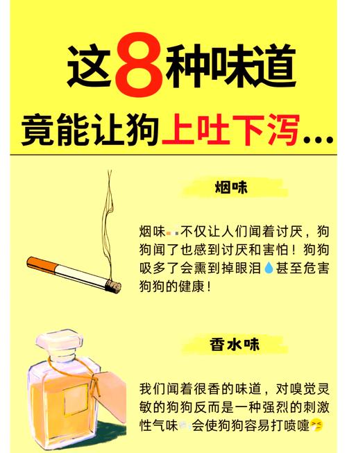 狗狗为什么对烟味敏感
