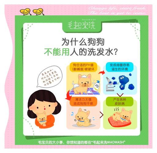 用人的洗发水给狗狗洗澡会造成什么后果?