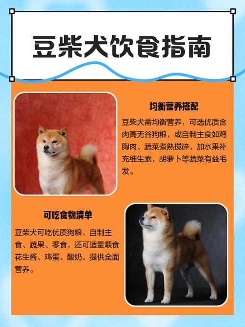 狗吃黄豆有什么坏处吗