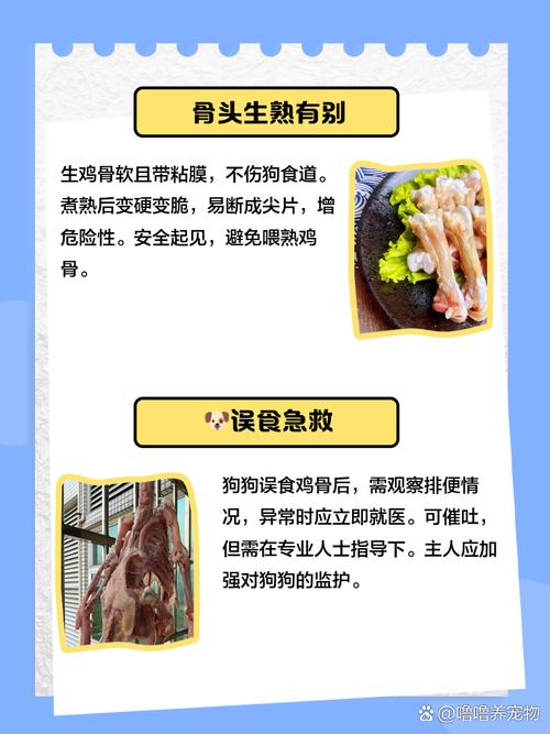 狗狗能吃鸡腿吗