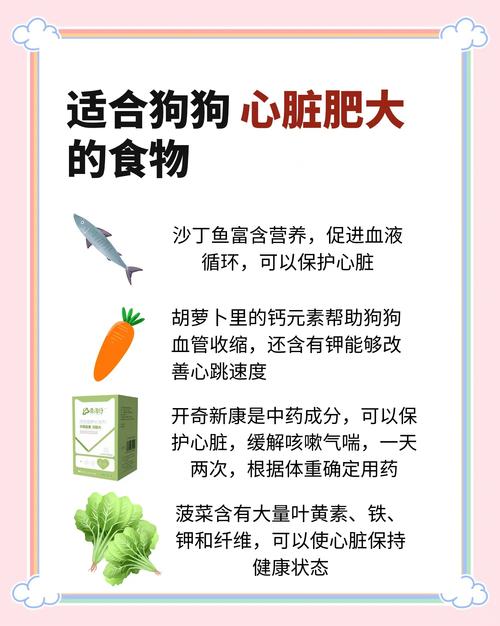 狗狗的肺心病吃什么药