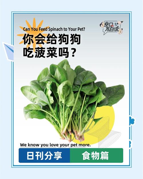狗狗吃菠菜的10大忌