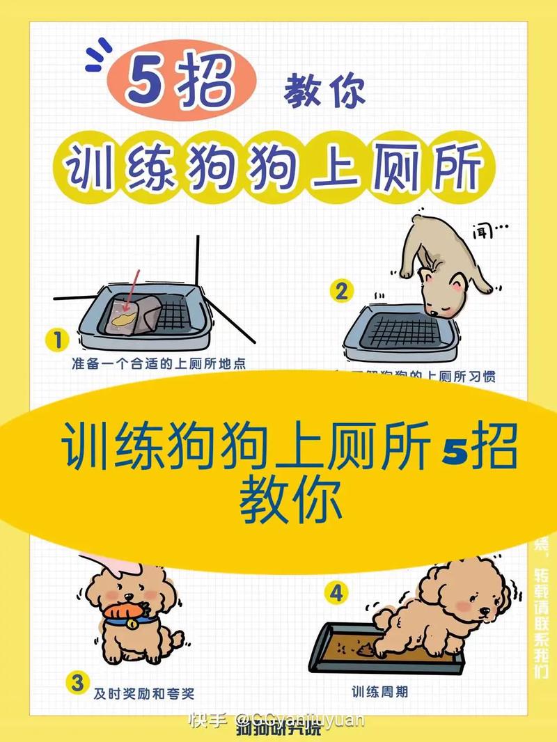 幼犬到家后6个基础训练