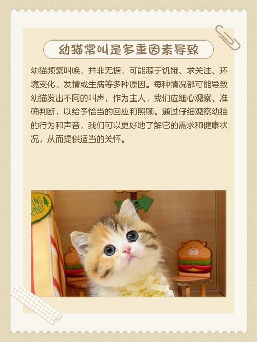 还没睁眼的小猫咪半夜不睡觉,老是叫,还跑上跑下的,喂奶也不喝是为什么...