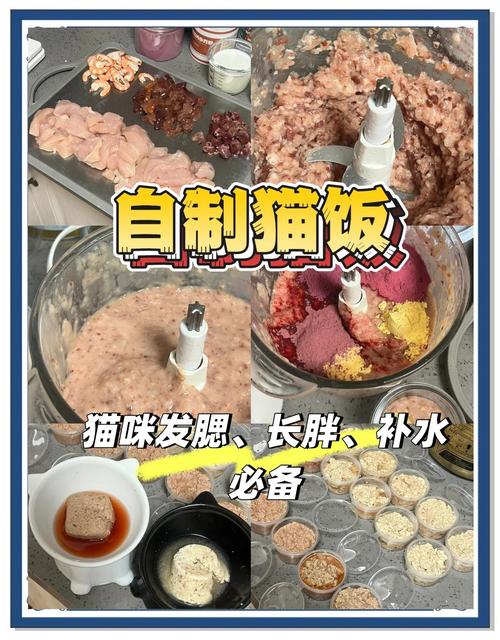 猫咪发腮需要吃什么