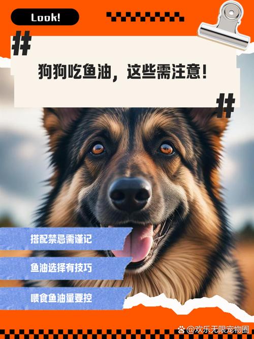 为什么不让狗狗吃鱼油