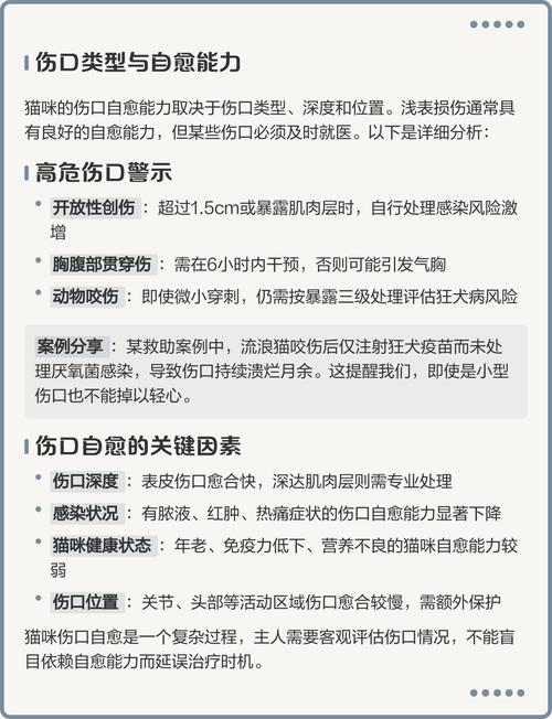 猫咪破皮能自愈吗