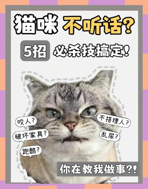 猫咪不听话总是上蹿下跳怎么办呢?