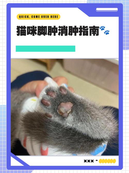 猫咪肉芽肿可治愈吗