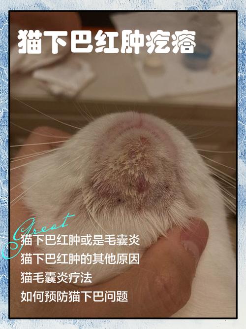 猫嗜酸性肉芽肿会自愈吗