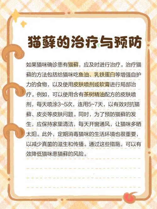猫咪眼睛上面秃了一块还发红是猫癣吗?该怎么治疗?