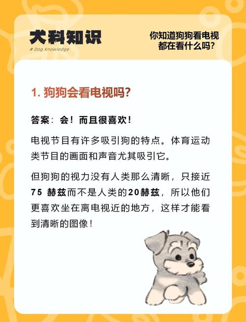 我家狗子最近很爱看电视,狗狗真的能看懂电视里在演什么吗?