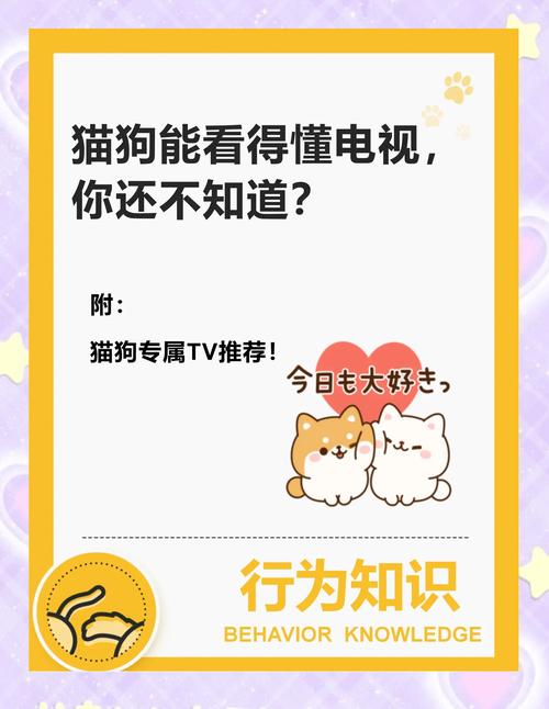 狗狗能看懂电视吗?