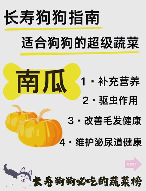 狗吃南瓜的好处和坏处