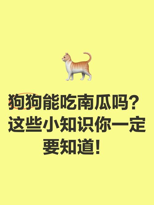 狗可以吃老南瓜吗?