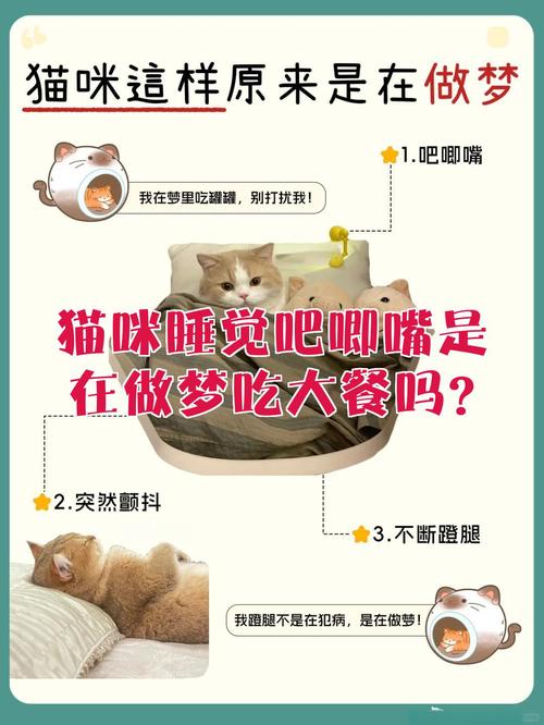猫睡觉吧唧嘴怎么回事