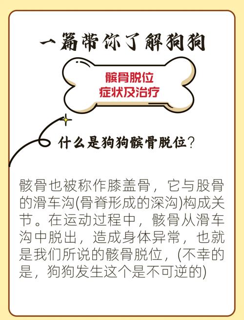 小狗股骨头错位怎么办