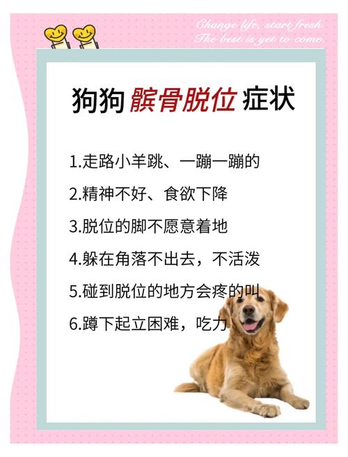 狗狗腿错位了会自愈吗