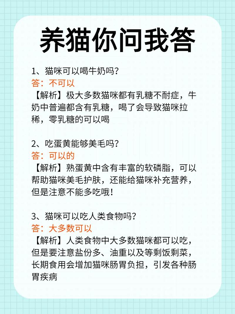 猫咪可以喝纯牛奶吗