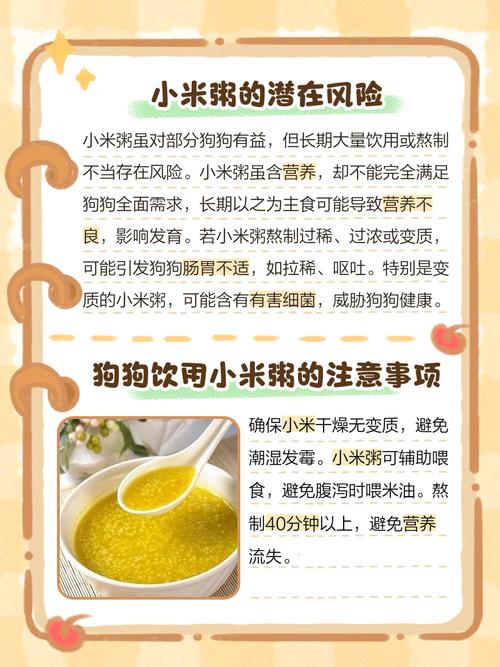 狗能不能吃小米