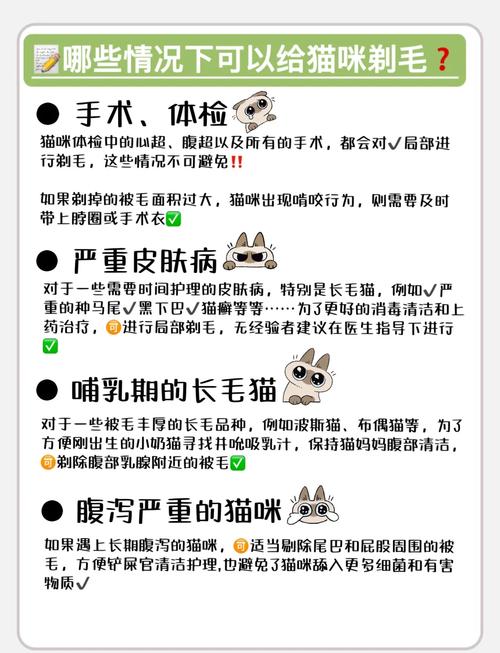 猫咪得了皮肤病,到底要不要剃毛?