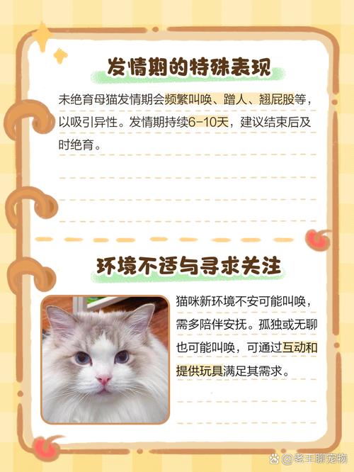 母猫为什么会一直叫?