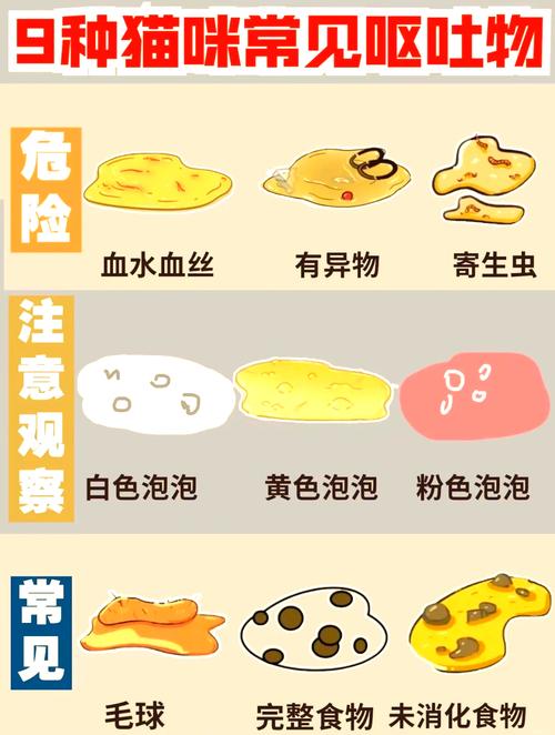 小猫吃错东西卡住脖子