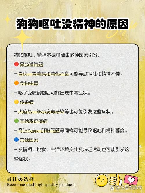 狗狗生病了不吃东西没精神怎么办