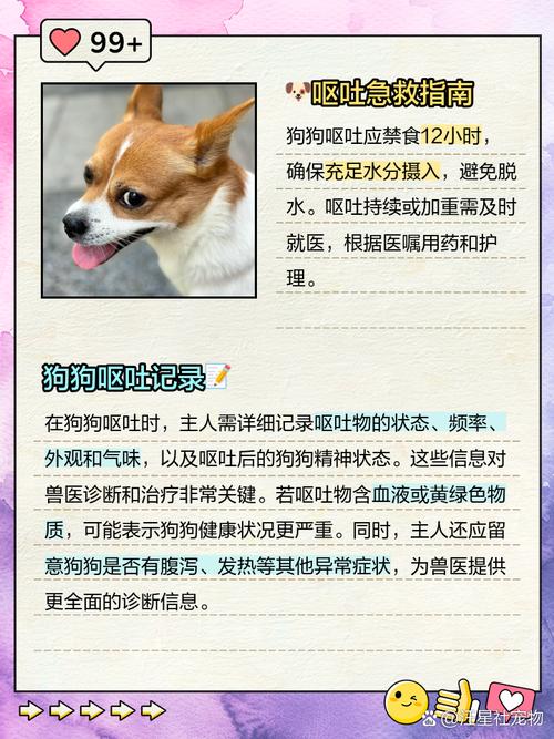 小狗病了不吃不喝怎么办