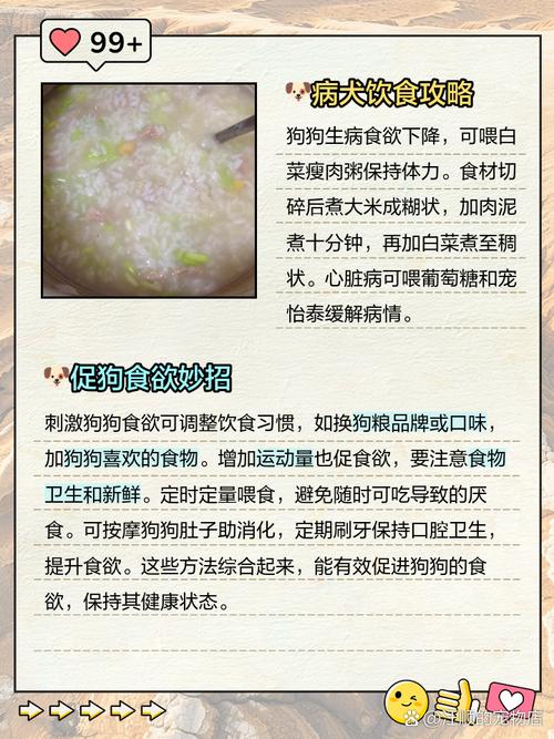 狗狗生病了不吃东西怎么办