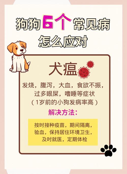 狗狗有病五天,冠状病毒打了四天针了现在不吃食、只喝点水怎么办、