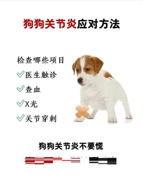 狗狗腿瘸了,想给它拍个片子看看有没有问题,想问一下拍个片子大概费用是...