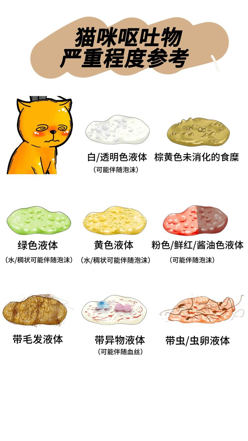 宠物猫肠胃不好该多吃些什么食物啊?