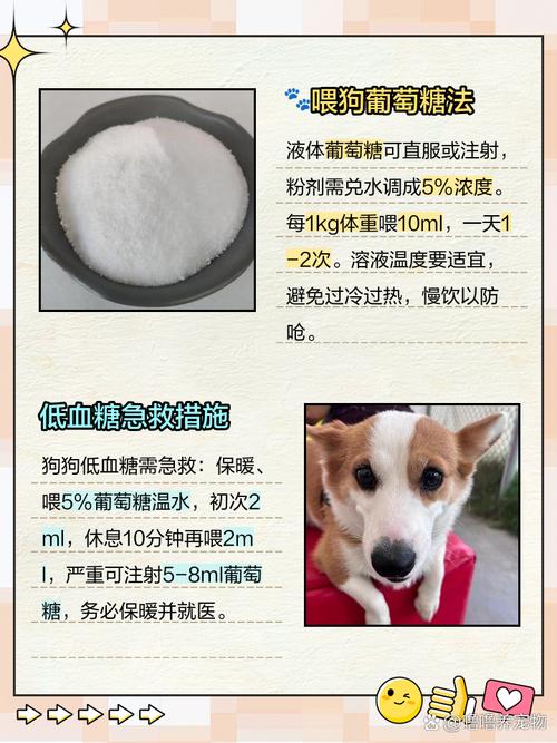 狗狗葡萄糖一次喂多少