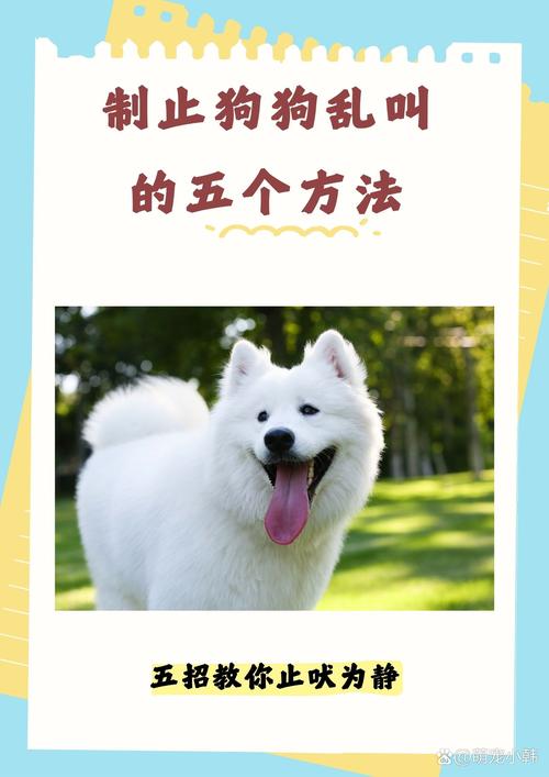 怎样制止狗狗晚上乱叫