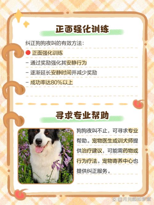 怎样训练狗狗不乱叫?让狗狗不要乱叫的方法!