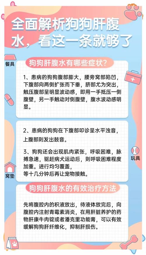 狗狗心脏病的症状